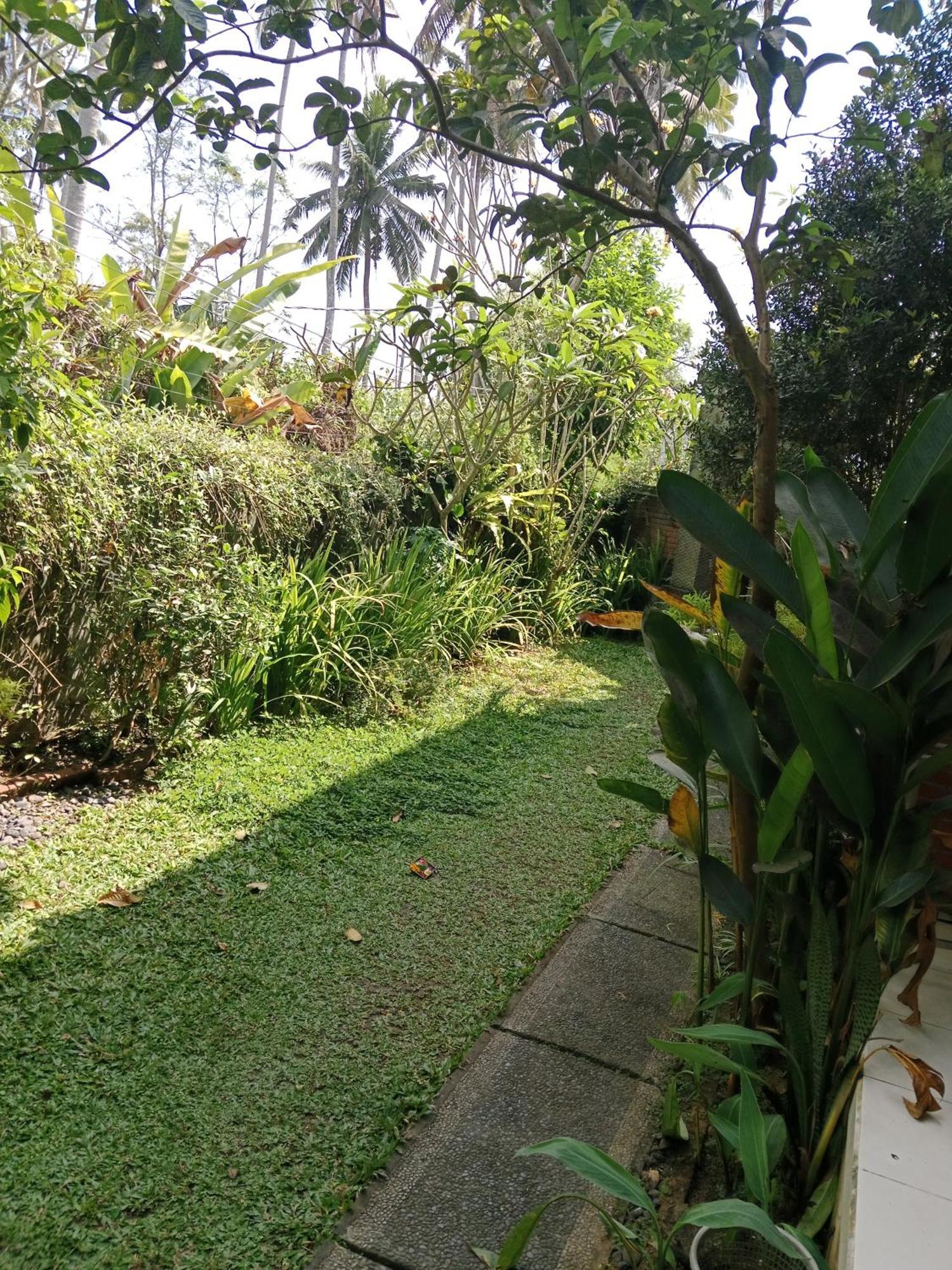 Sunrise Coconut House Hotel Ubud  Ngoại thất bức ảnh